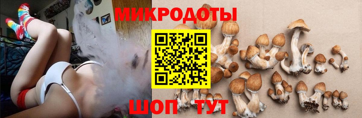 Борзя  Галлюциногенные грибы мухоморы  Вход с VPN 
